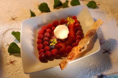 Waldbeeren mit Joghurteis